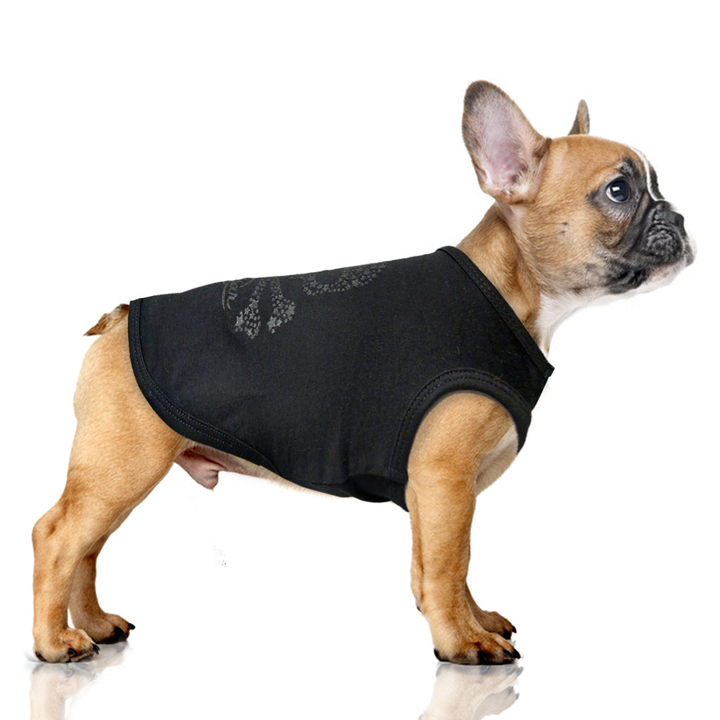 jimi skull head tee (includes frenchie sizes)