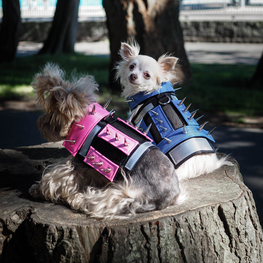 Animal Predator Vests For Dogs Predator Protection Spiked Harness