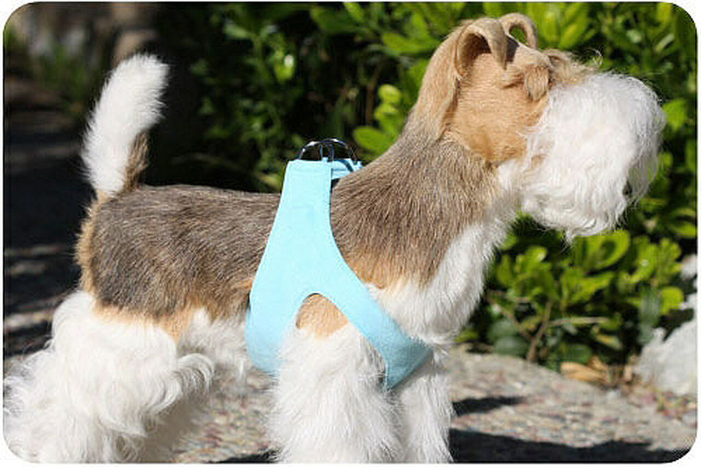 ultra-suede step in harness - tiffi blue