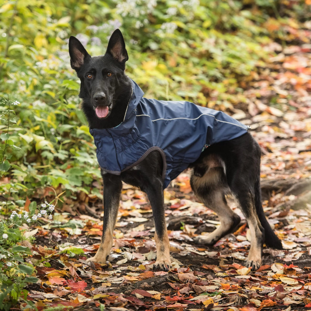 reversible raincoat - navy/plaid