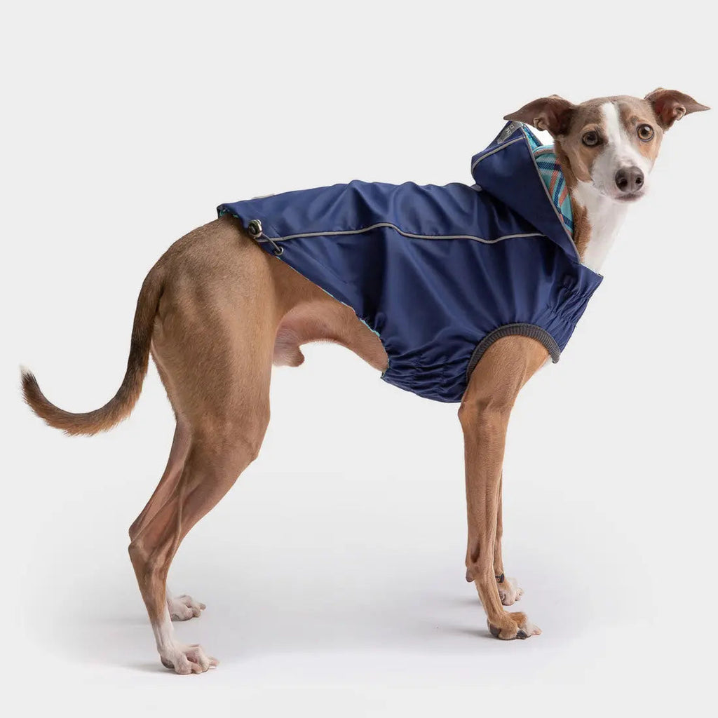 reversible raincoat - navy/plaid
