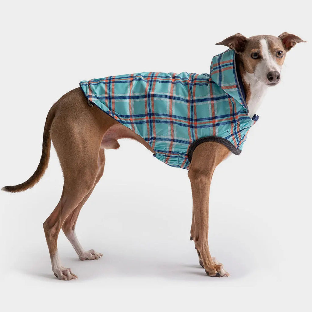 reversible raincoat - navy/plaid