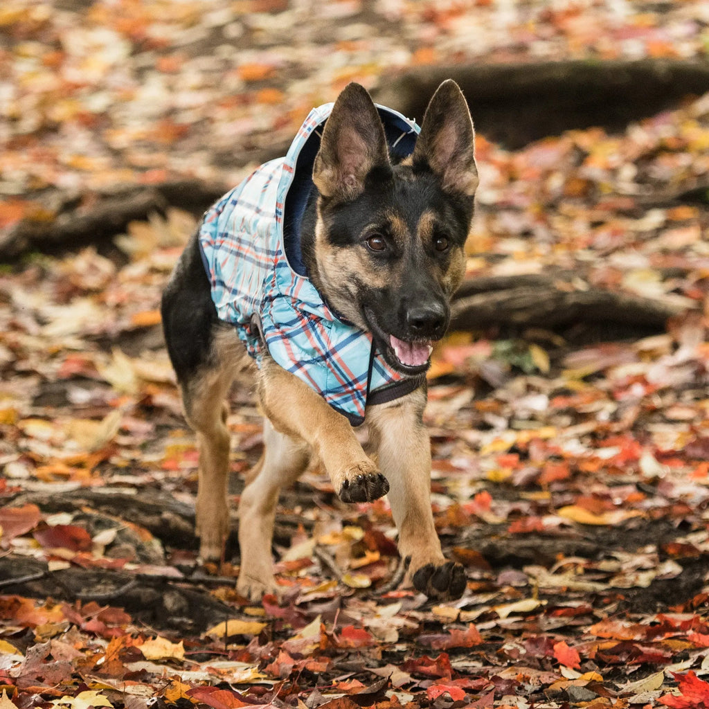 reversible raincoat - navy/plaid