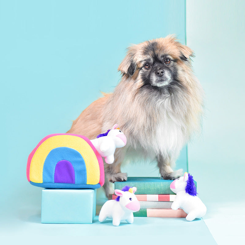 unicorns in rainbow burrow squeaker toy