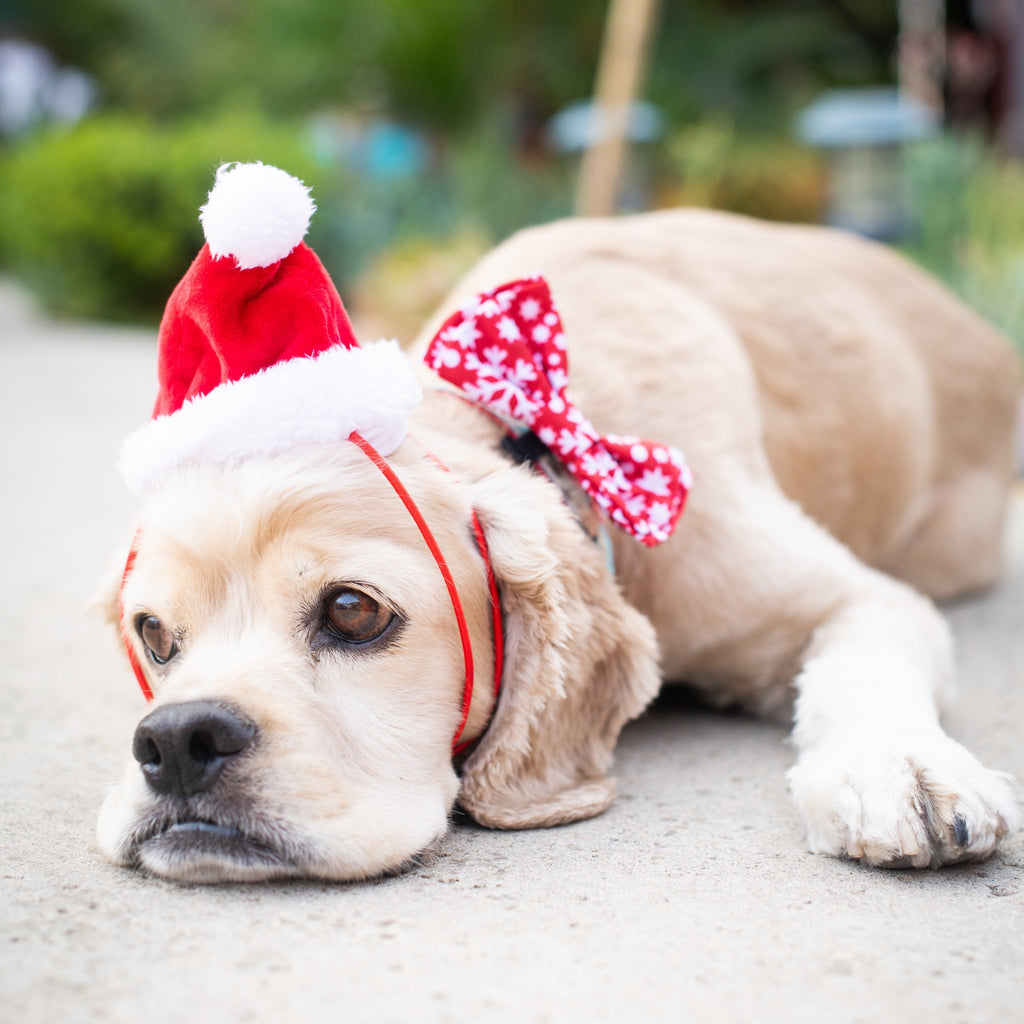 holiday santa hat - large left!