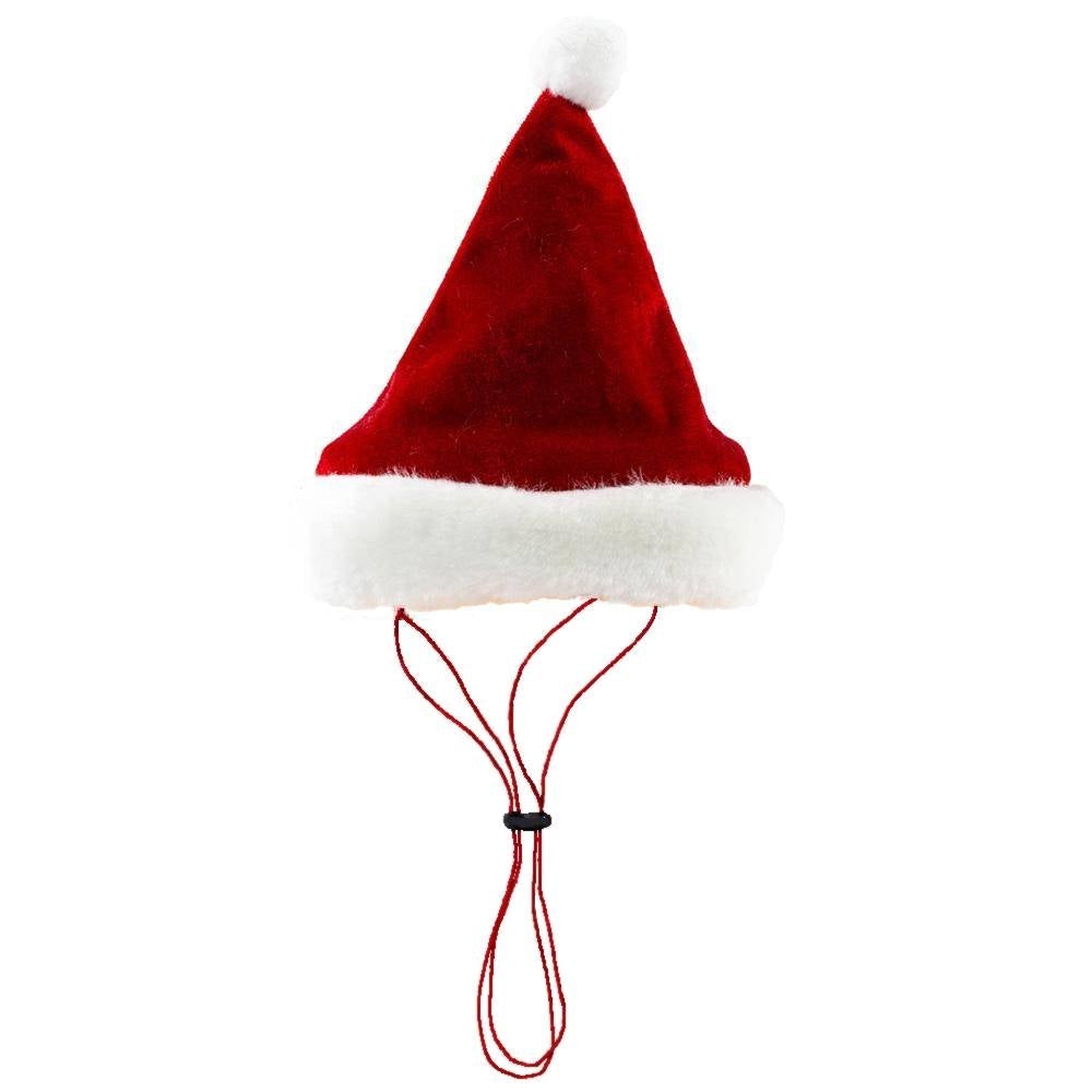 holiday santa hat - large left!
