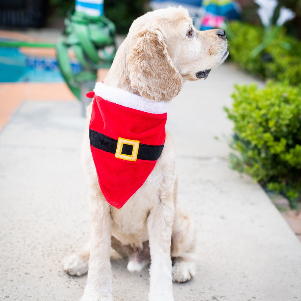 santa suit dog bandana