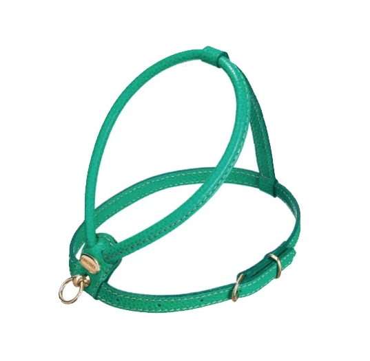 italian leather harness - green