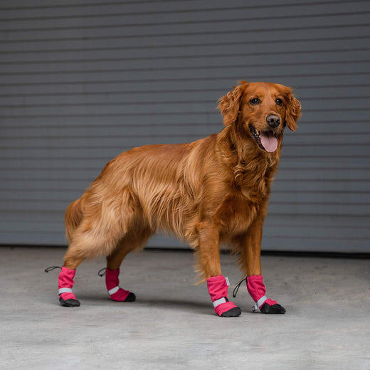 Soft dog boots on sale