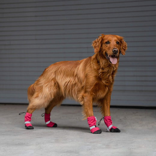 soft shield protective dog boots - pink
