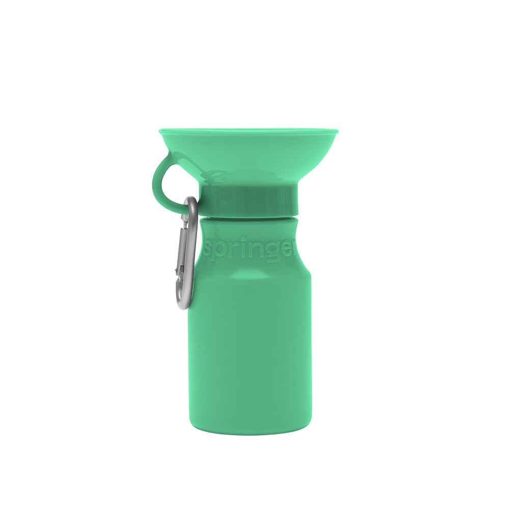 springer mini travel bottle - green - last one!