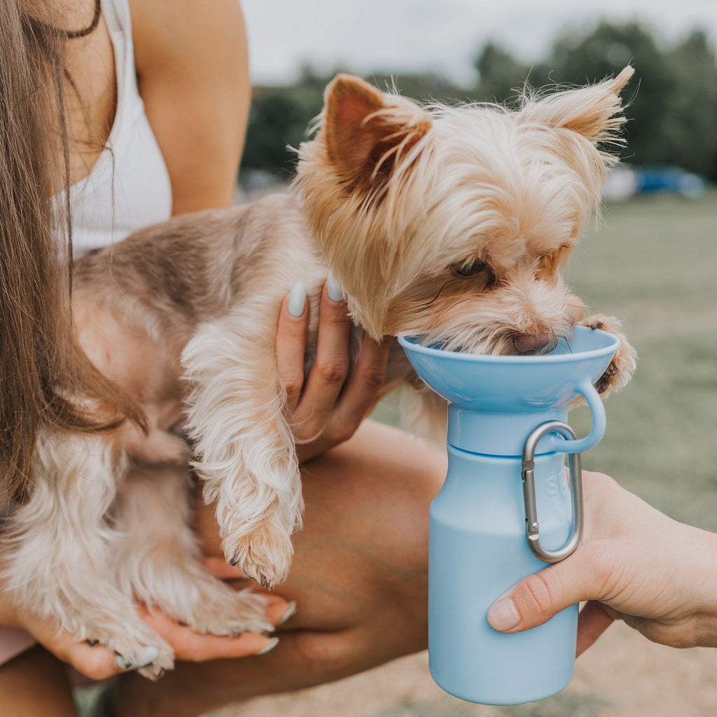 springer mini travel bottle - blue