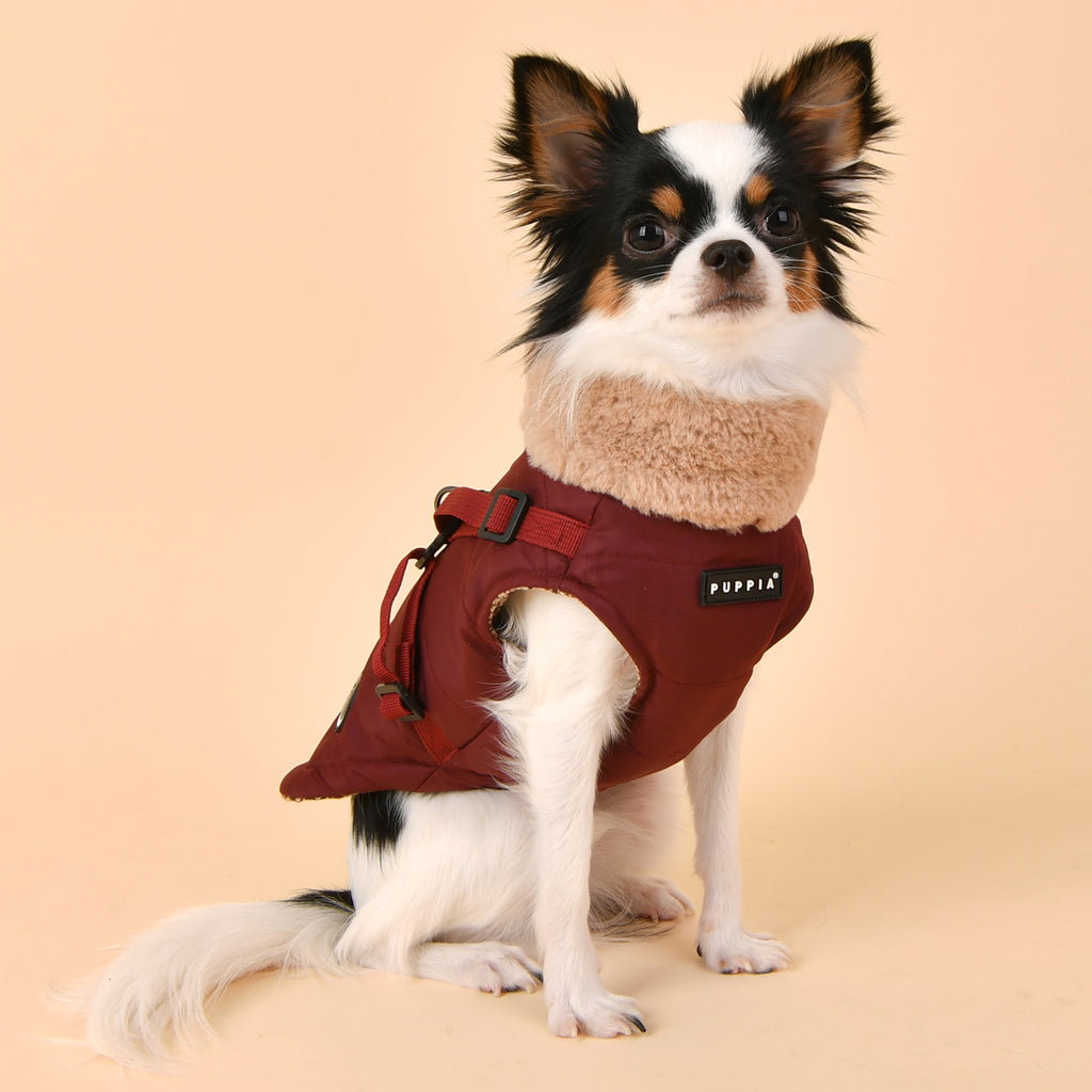donovan harness coat - burgundy