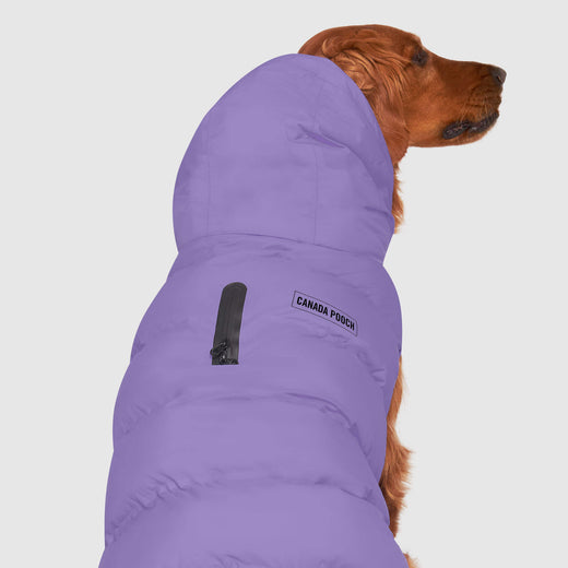 classic waterproof puffer - violet