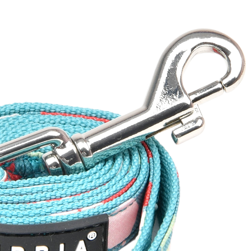 alyssa leash - aqua