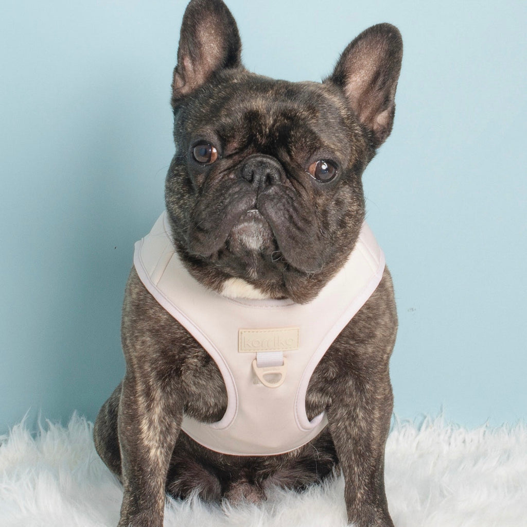 step-in dog harness - nude