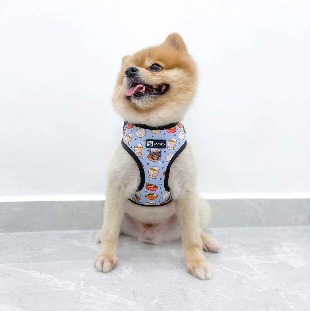 adjustable harness with front-clip - ramen 1 xs left!