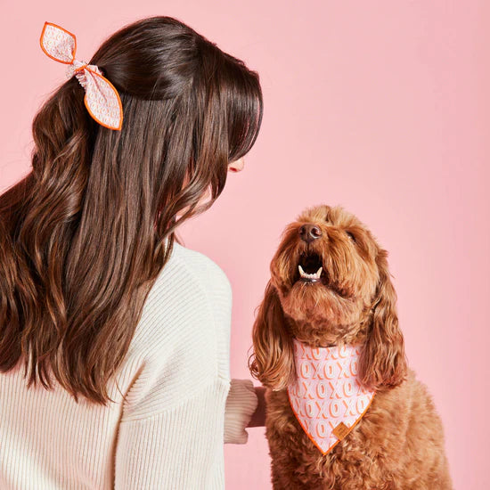 hugs and kisses dog bandana
