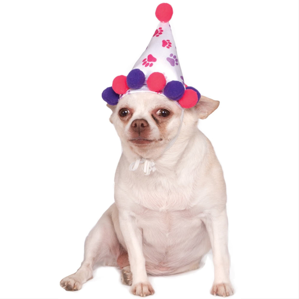 birthday girl hat