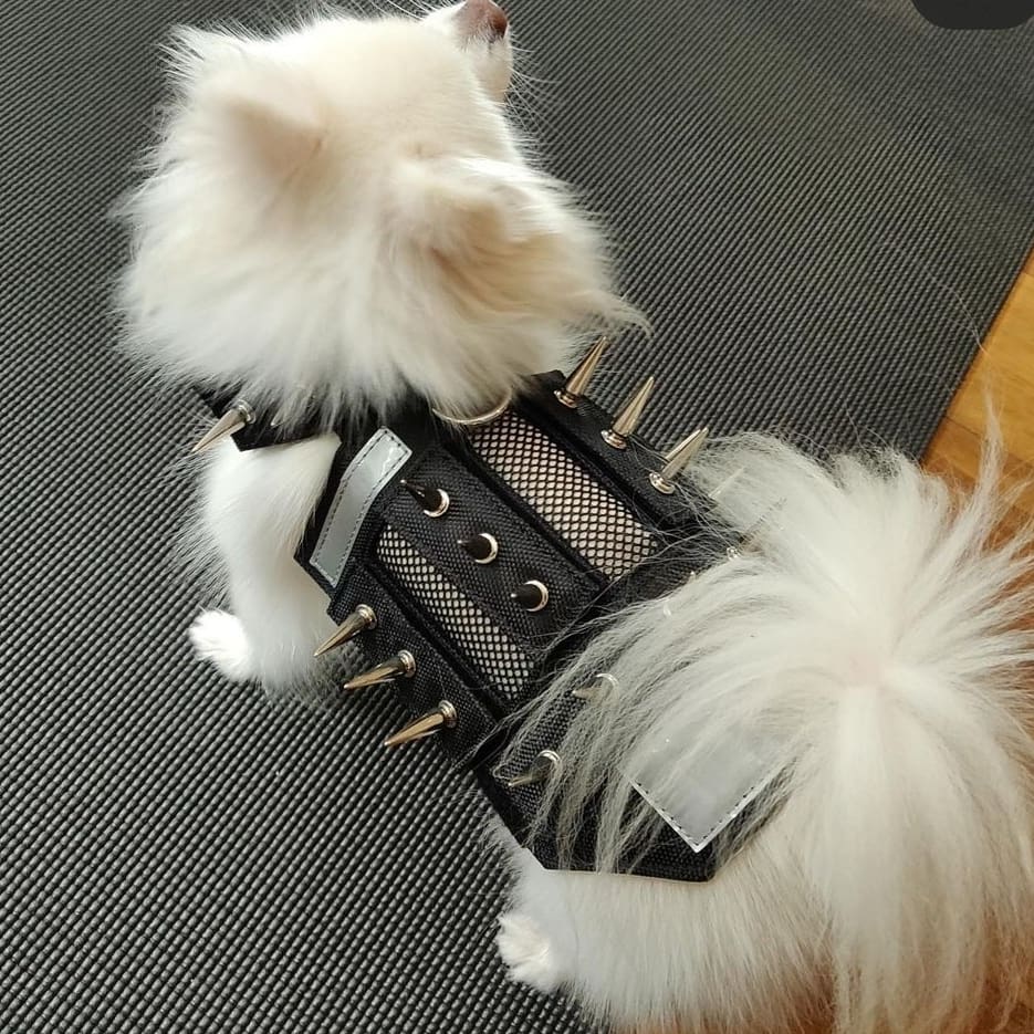 predator protection spiked harness