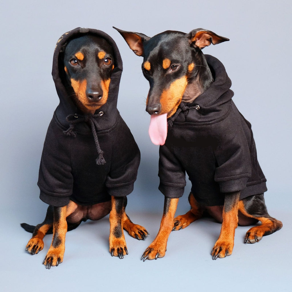 ninja hoodie