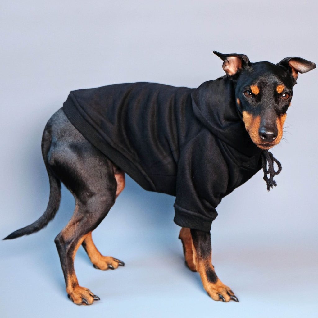 ninja hoodie