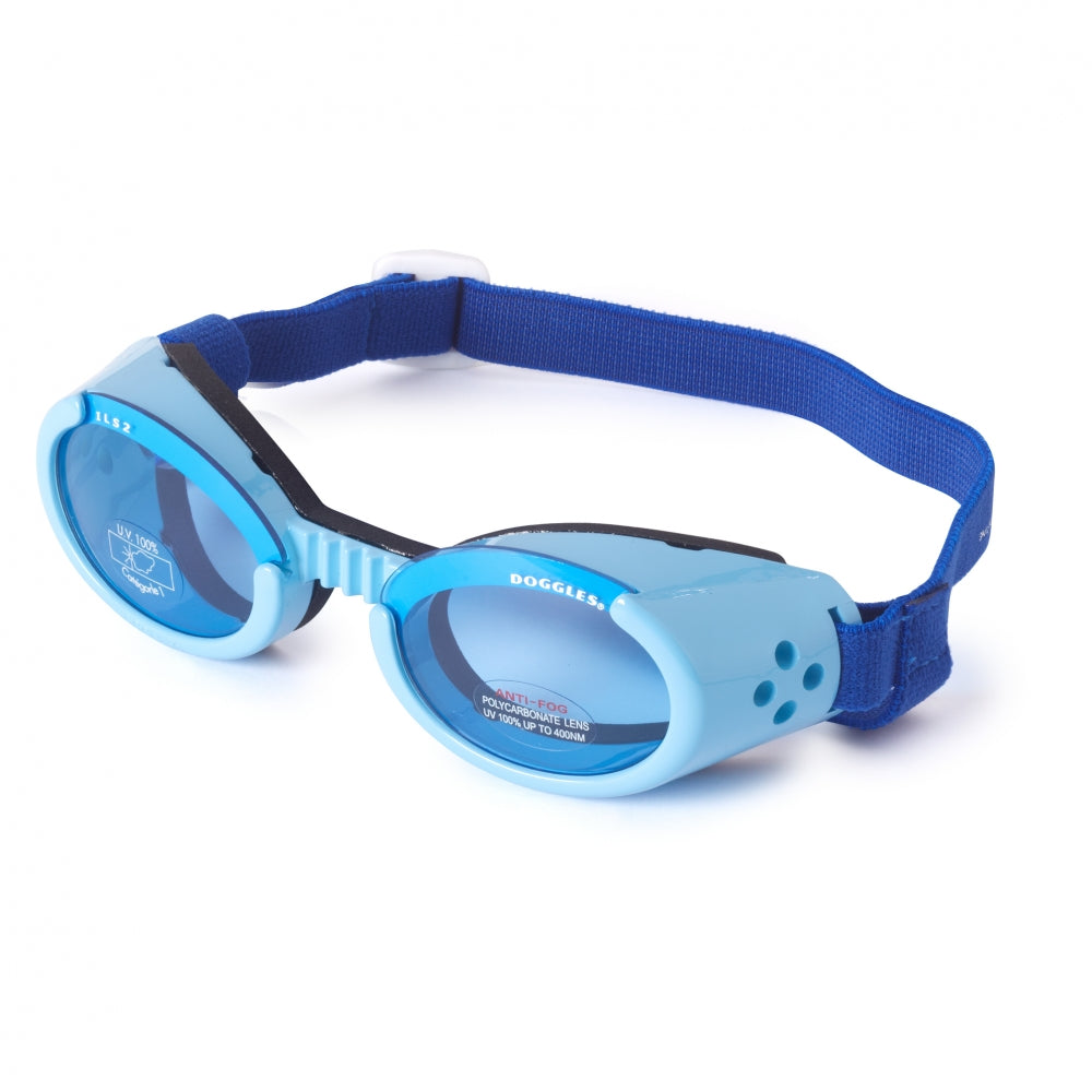 doggles - shiny blue frames with blue lens