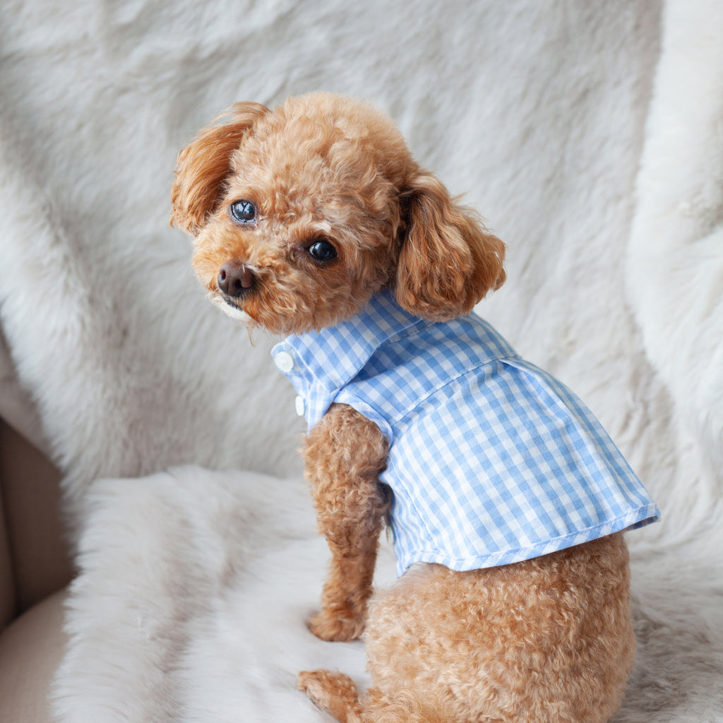 blue checkered tee - 1 xs left!