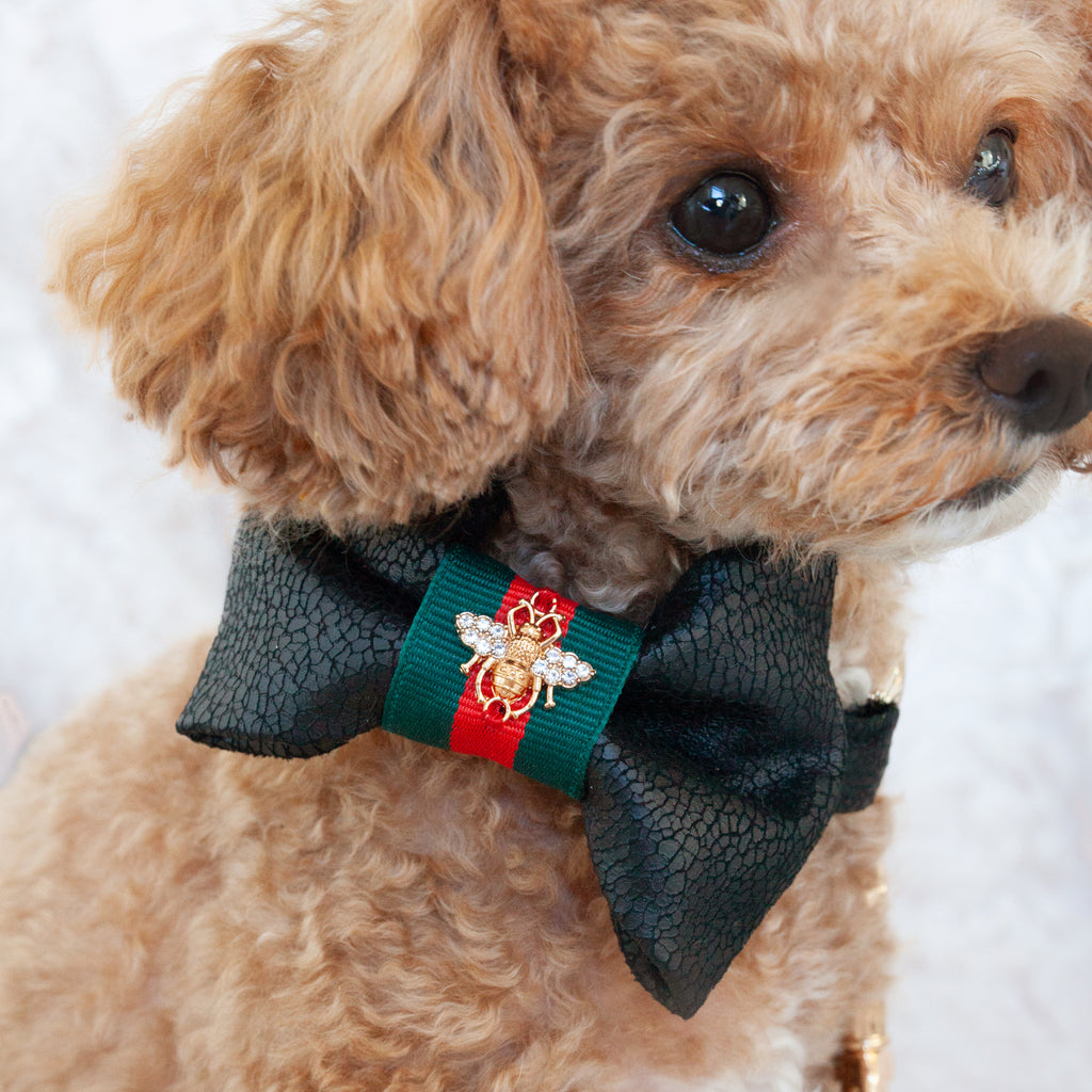 grrrucci bow-tie - black pebbled