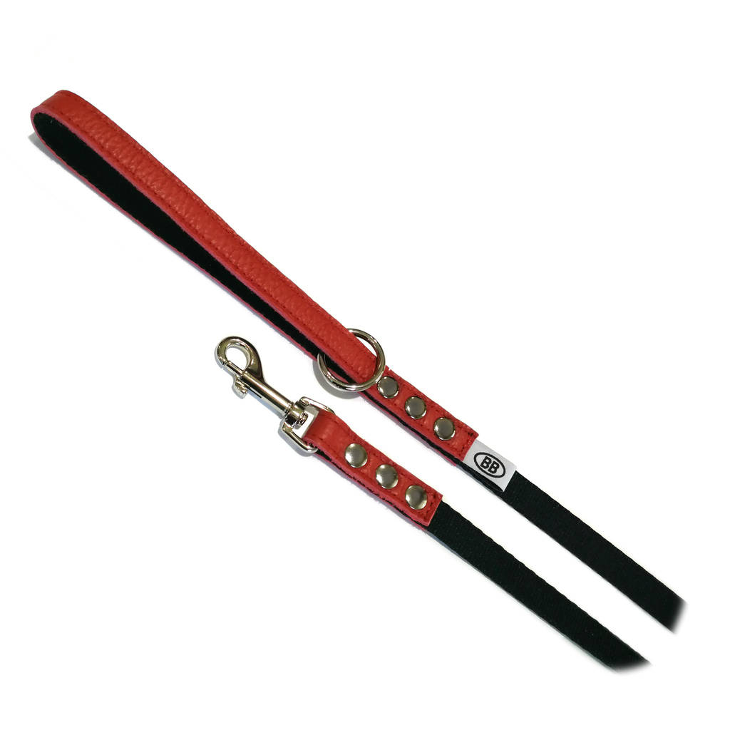 buddy belt nylon leather leash - 5 colour options barking babies