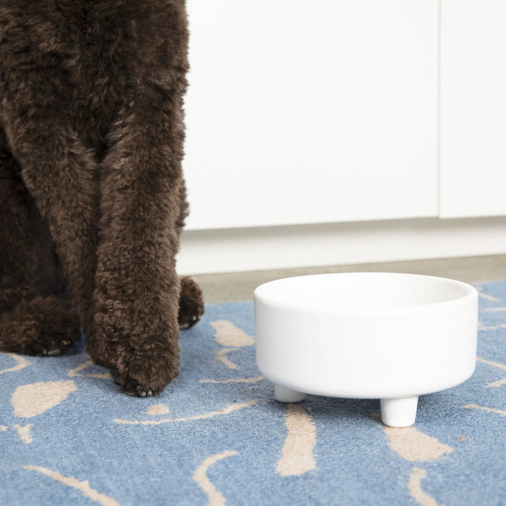 uplift ceramic dog bowl - white