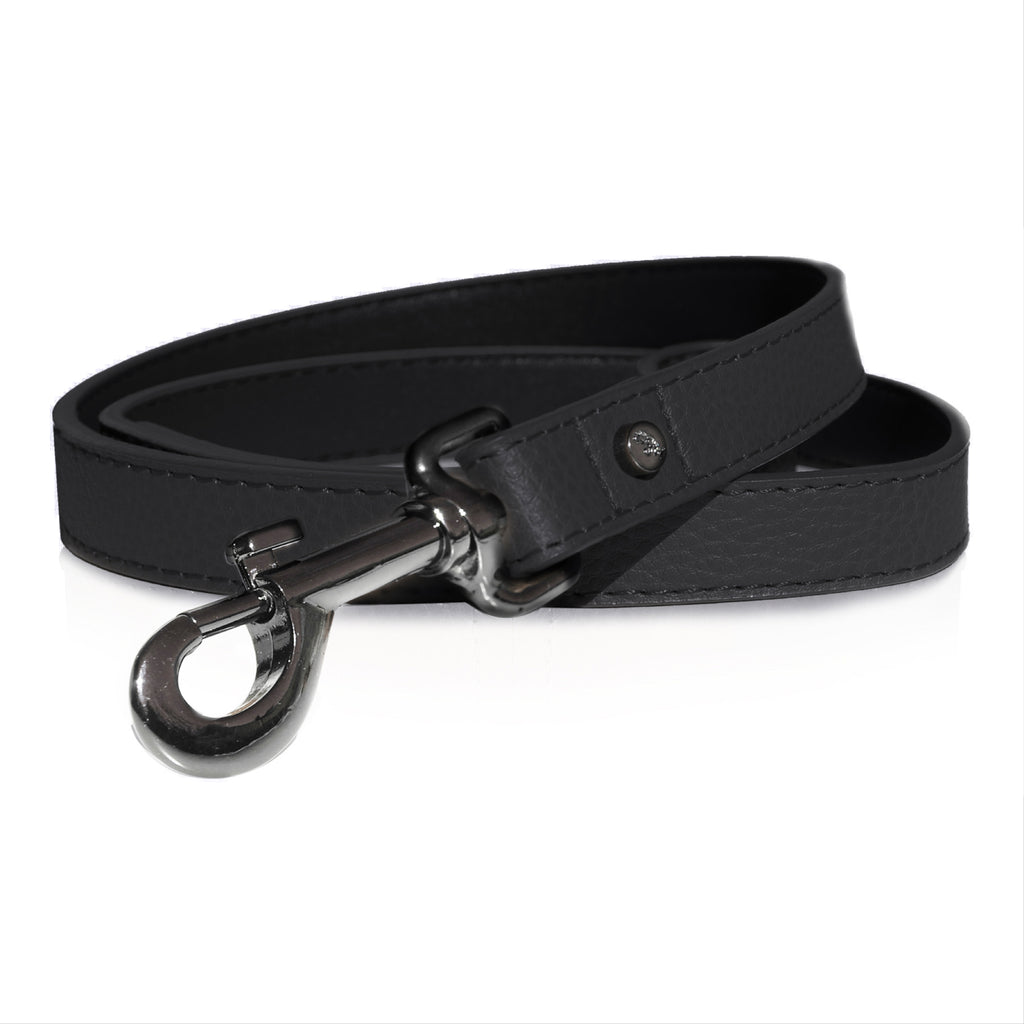 calavera leather leash (3/4" width)