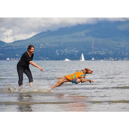 canine lifejacket barking babies