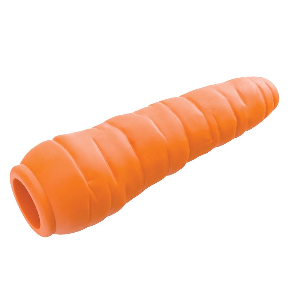 planet dog carrot toy