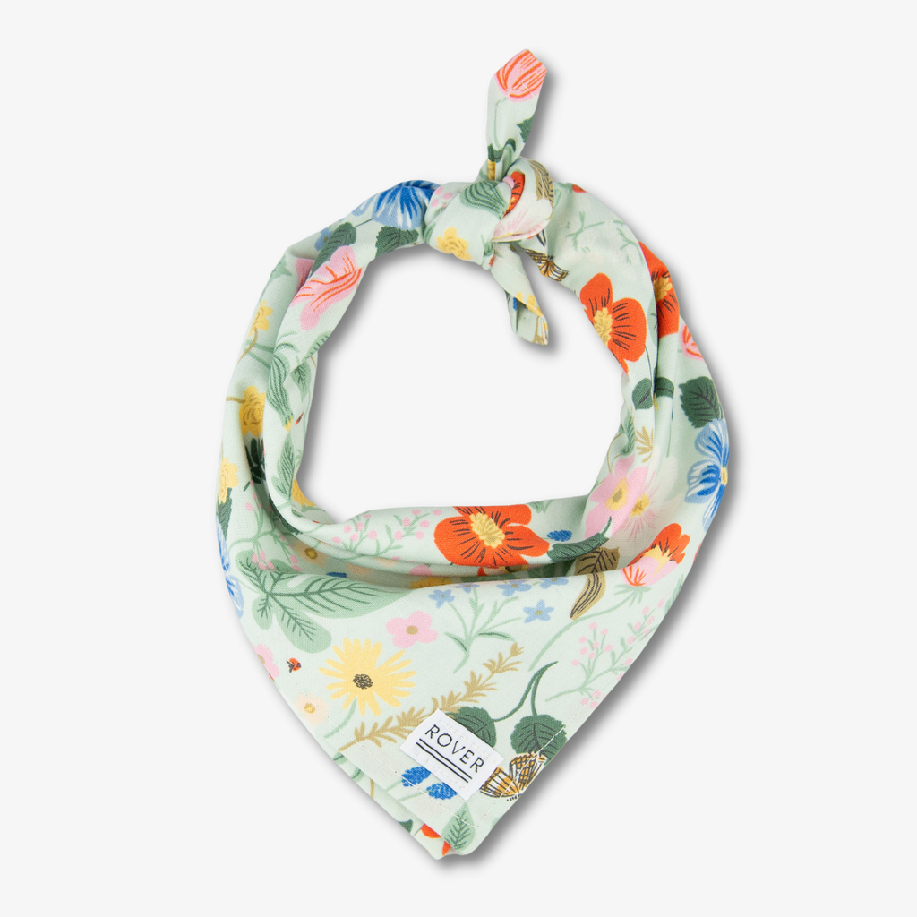 flower fields dog bandana