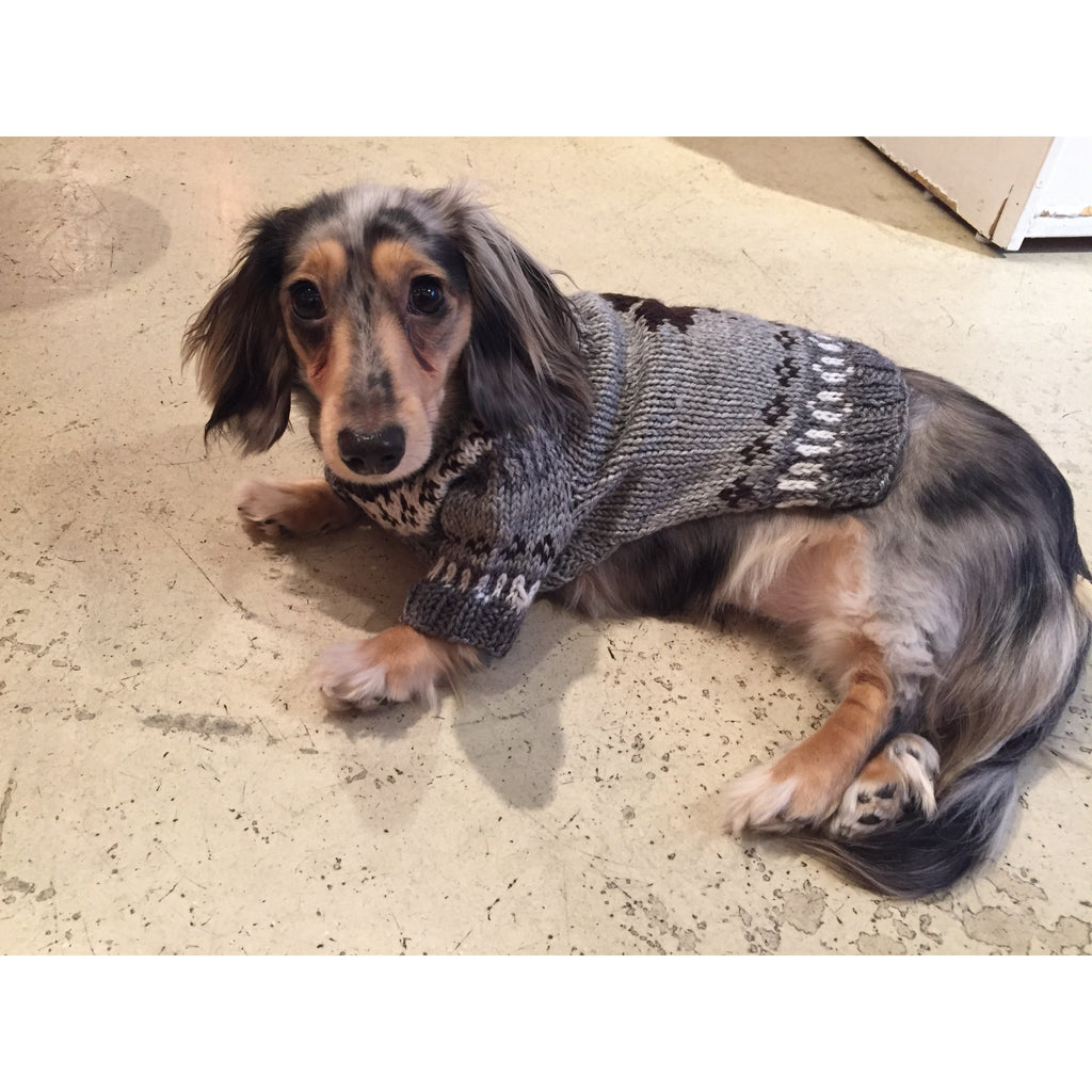 cowichan maple leaf sweater - available in small! barking babies