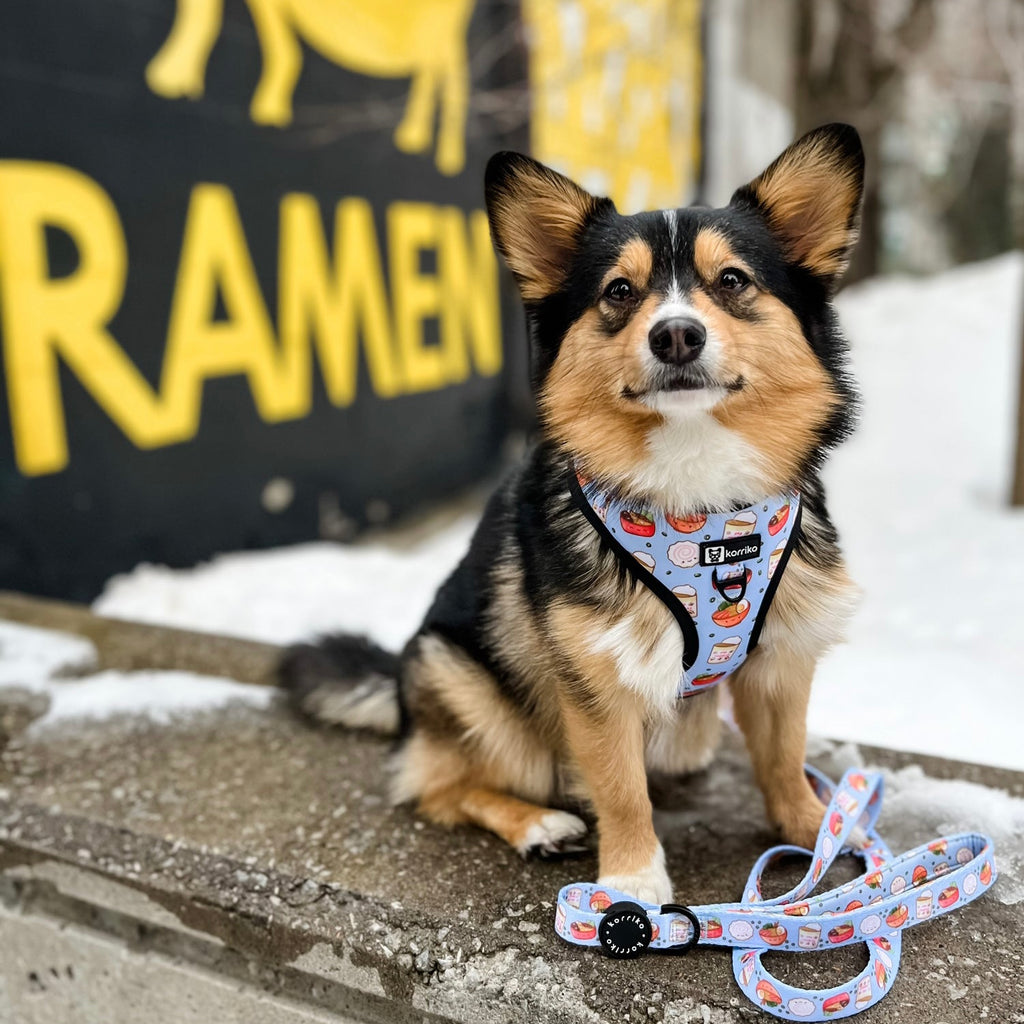 adjustable harness with front-clip - ramen 1 xs left!