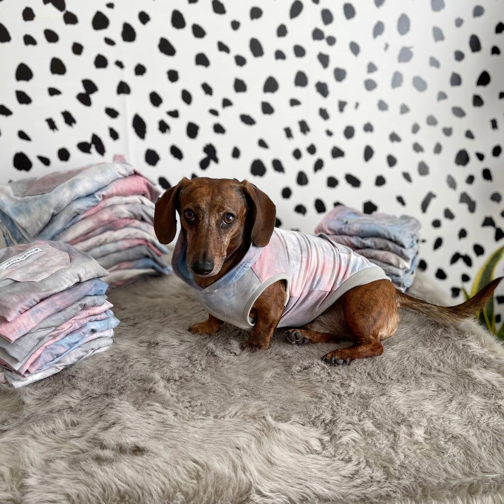 tie dye dream dog hoodie