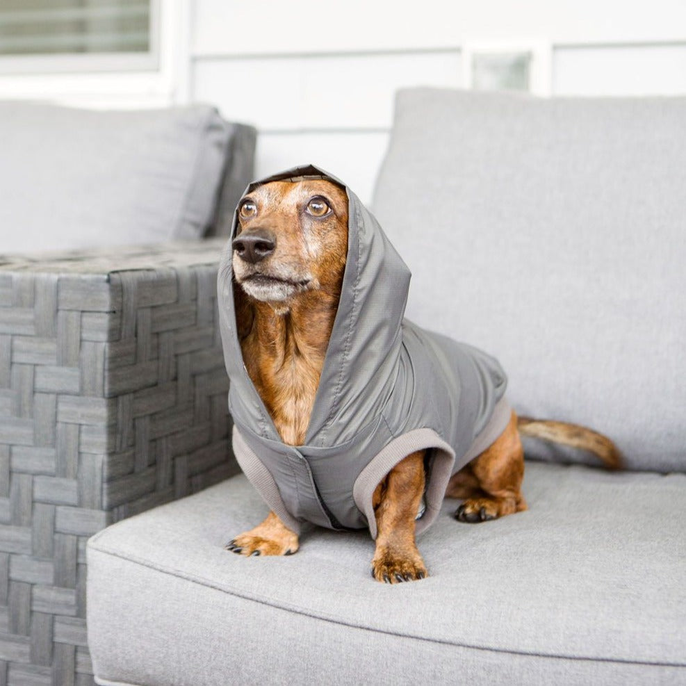 shadow dog rain jacket - last one!