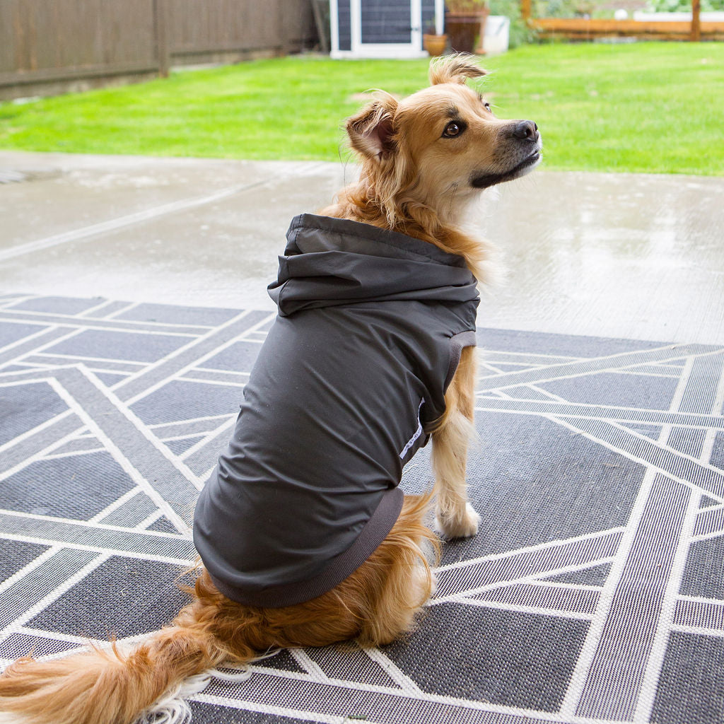 shadow dog rain jacket - last one!