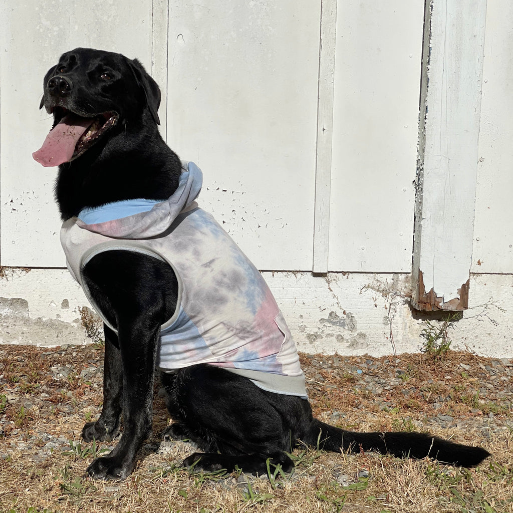tie dye dream dog hoodie