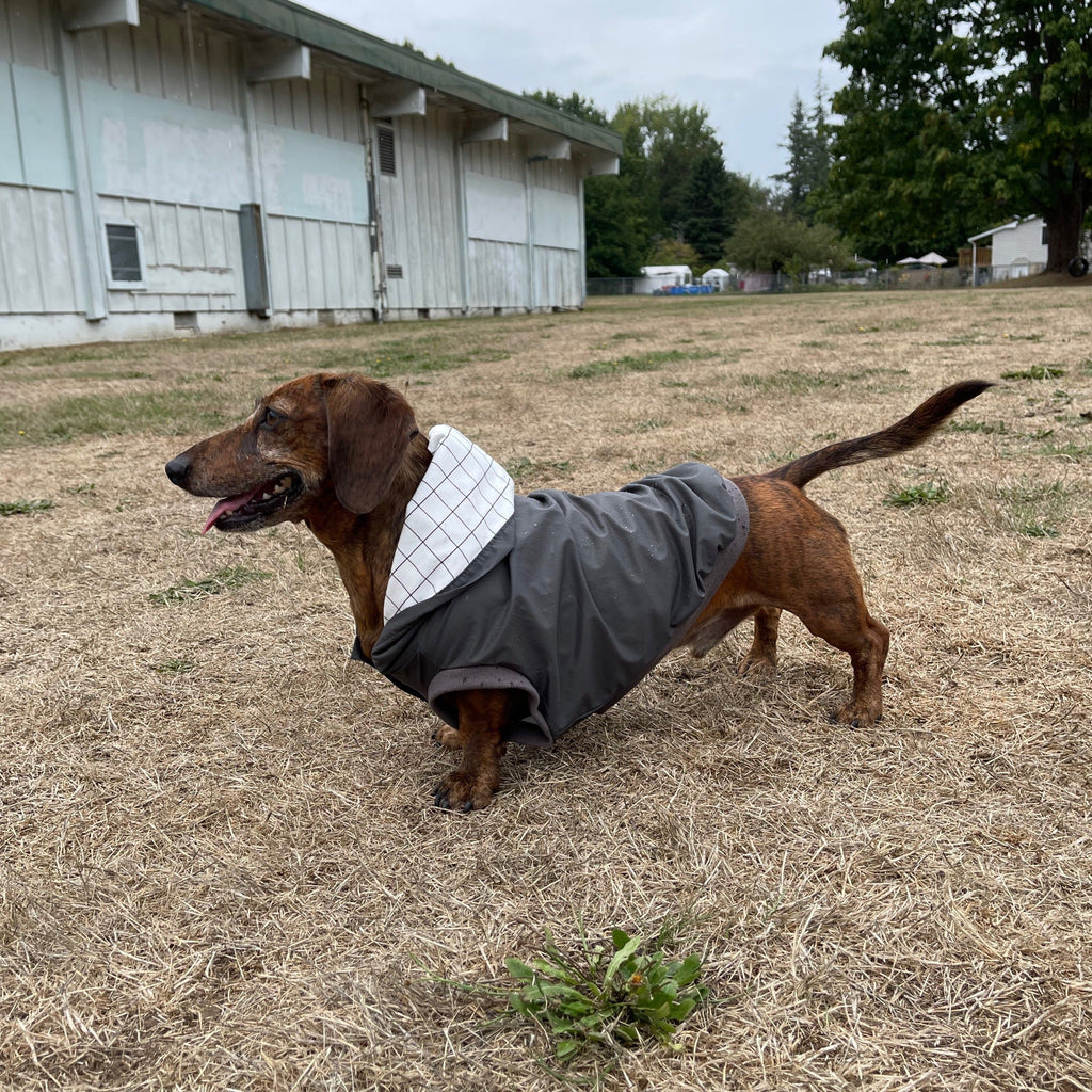 shadow dog rain jacket - last one!