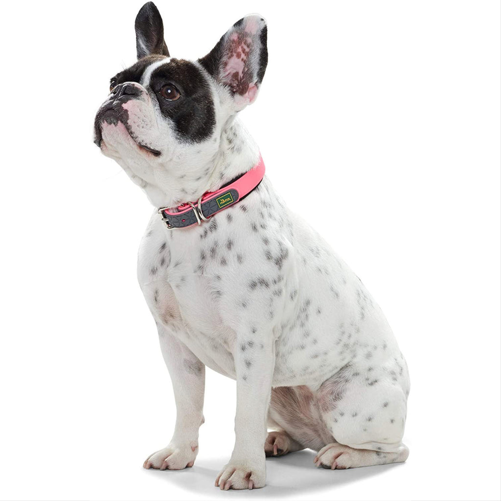 neon padded collar - pink
