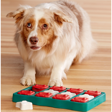 dog brick puzzle toy