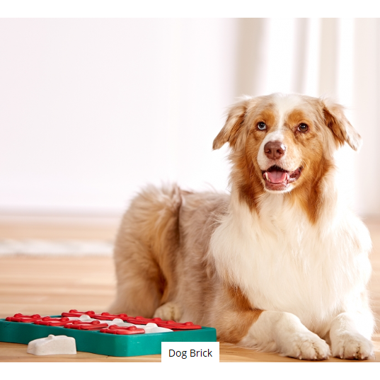 Dog brick puzzle outlet