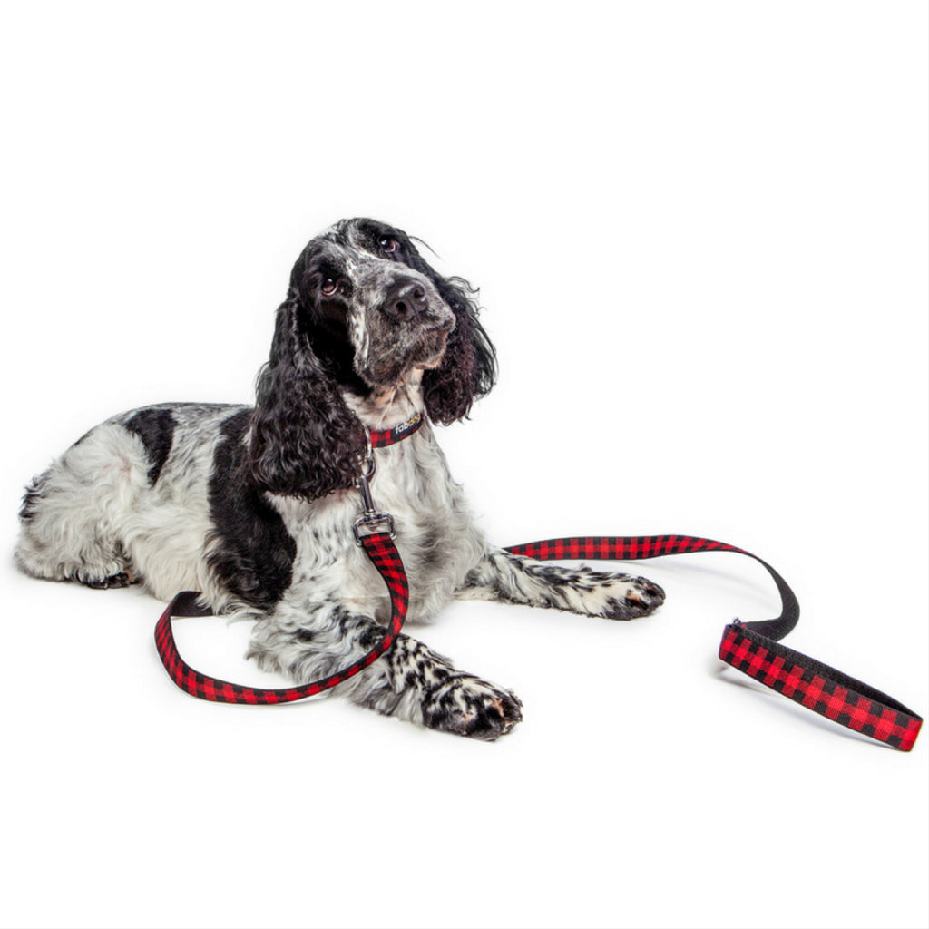 red buffalo check collar