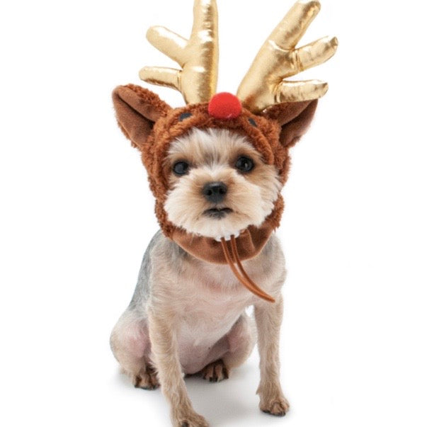 rudolph reindeer hat