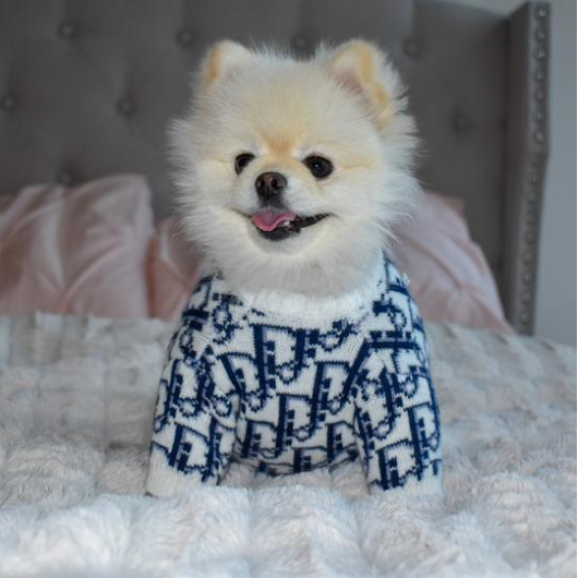 dogior knit sweater - blue/white