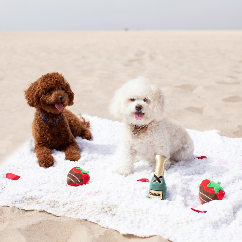 champs and strawberries 3 piece toy set