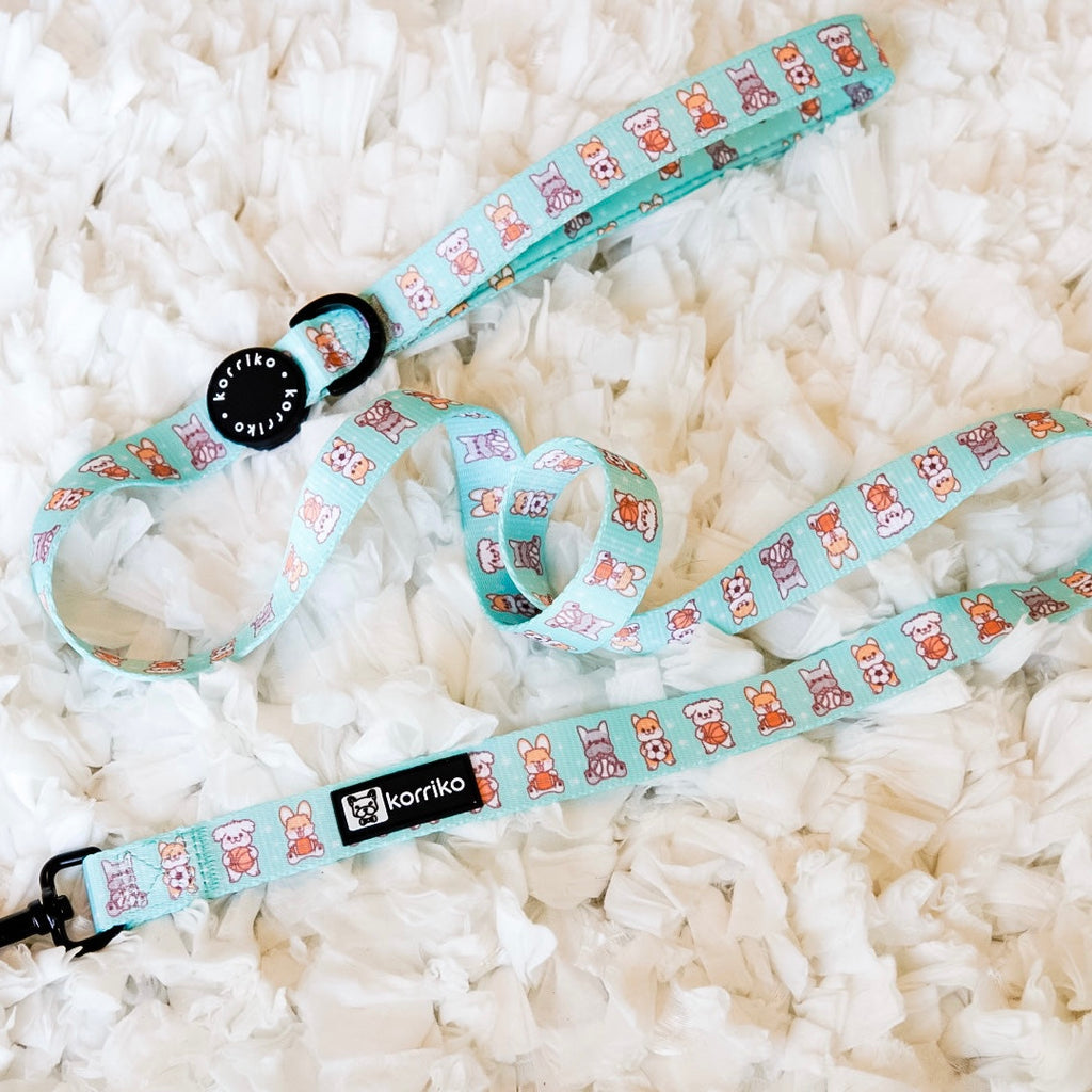dream team leash - one left!